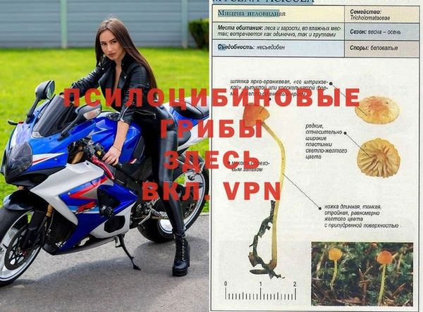 a pvp Балабаново