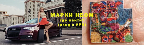 прущие грибы Слюдянка