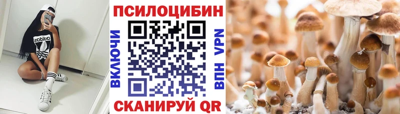 где купить наркотик  Красный Сулин  ОМГ ОМГ   Галлюциногенные грибы мухоморы 